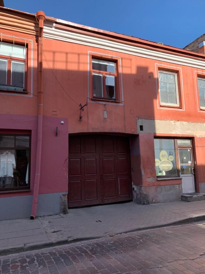 Old Studio Apartment Vilnius Dış mekan fotoğraf