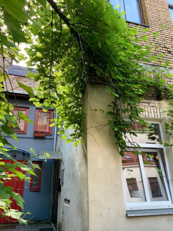 Old Studio Apartment Vilnius Dış mekan fotoğraf
