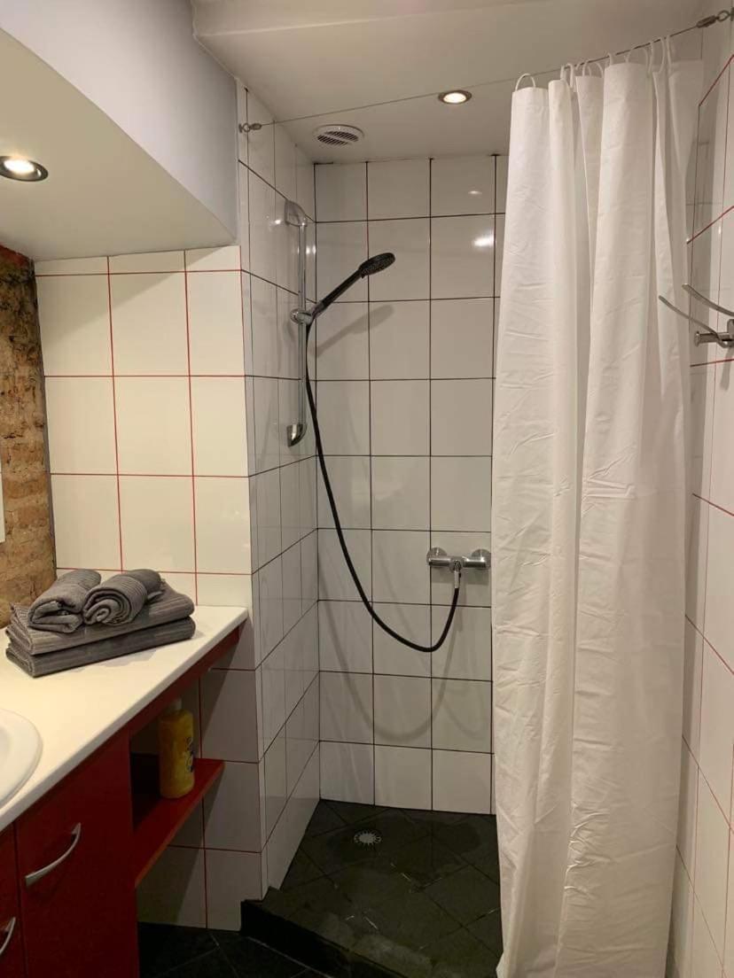 Old Studio Apartment Vilnius Dış mekan fotoğraf